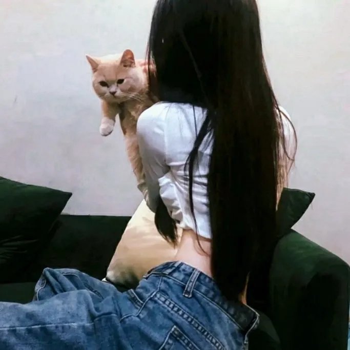认识狗狗